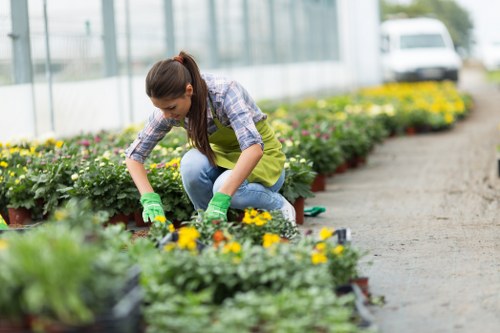 Gardener discussing a garden care issue with a client