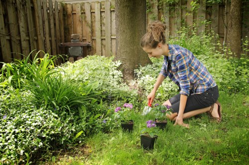 Site inspection by a gardener reviewing planting and turf